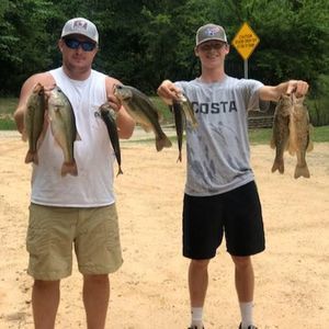 Meet your Posher, Blayne